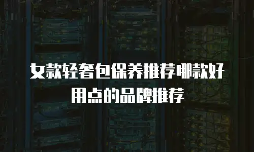 女款轻奢包保养推荐哪款好用点的品牌推荐