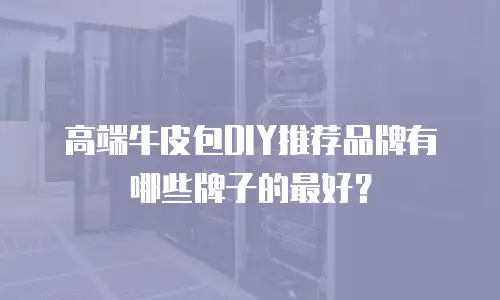 高端牛皮包DIY推荐品牌有哪些牌子的最好？