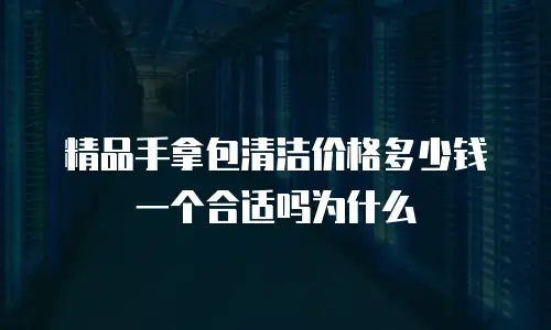 精品手拿包清洁价格多少钱一个合适吗为什么