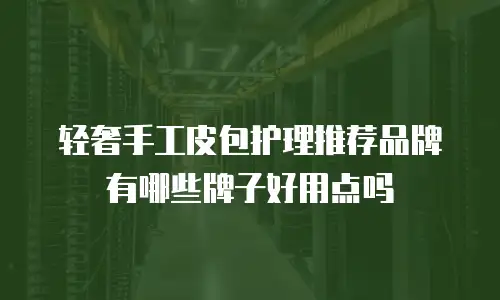 轻奢手工皮包护理推荐品牌有哪些牌子好用点吗