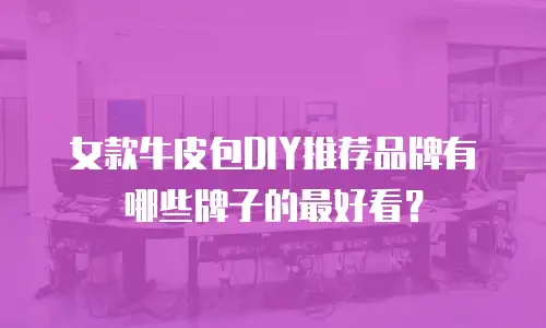 女款牛皮包DIY推荐品牌有哪些牌子的最好看？