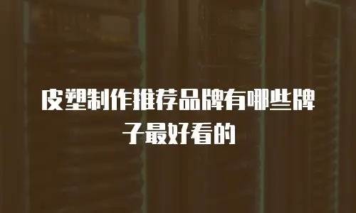 皮塑制作推荐品牌有哪些牌子最好看的