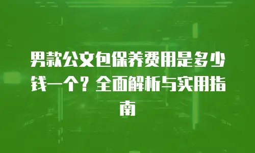 男款公文包保养费用是多少钱一个？全面解析与实用指南
