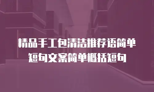 精品手工包清洁推荐语简单短句文案简单概括短句