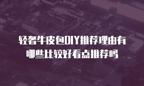 轻奢牛皮包DIY推荐理由有哪些比较好看点推荐吗