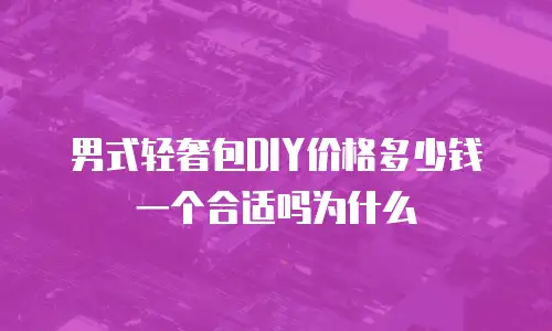 男式轻奢包DIY价格多少钱一个合适吗为什么