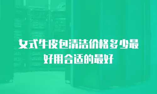 女式牛皮包清洁价格多少最好用合适的最好