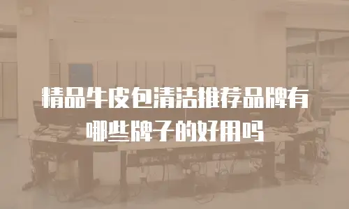 精品牛皮包清洁推荐品牌有哪些牌子的好用吗