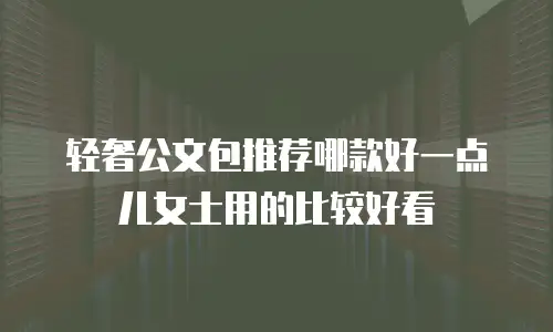 轻奢公文包推荐哪款好一点儿女士用的比较好看