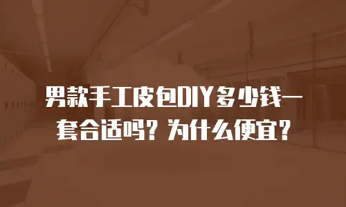 男款手工皮包DIY多少钱一套合适吗？为什么便宜？