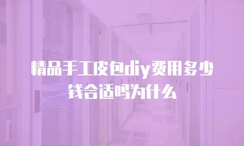 精品手工皮包diy费用多少钱合适吗为什么