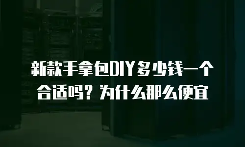 新款手拿包DIY多少钱一个合适吗？为什么那么便宜