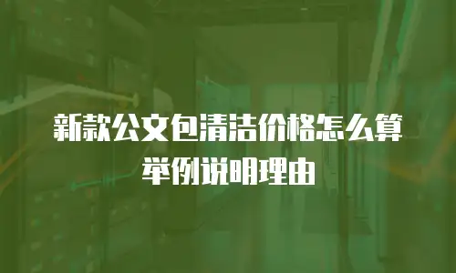 新款公文包清洁价格怎么算举例说明理由