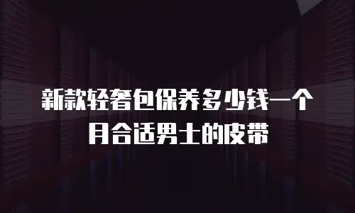 新款轻奢包保养多少钱一个月合适男士的皮带