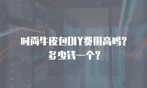 时尚牛皮包DIY费用高吗？多少钱一个？