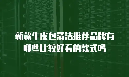 新款牛皮包清洁推荐品牌有哪些比较好看的款式吗