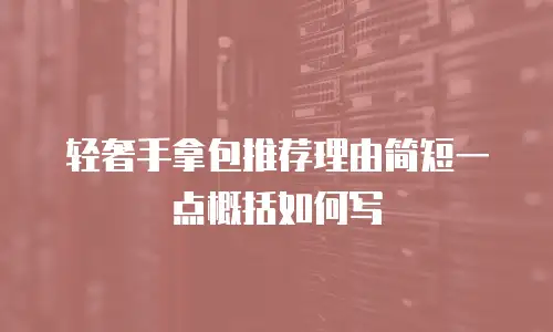 轻奢手拿包推荐理由简短一点概括如何写