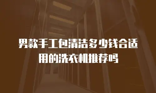 男款手工包清洁多少钱合适用的洗衣机推荐吗