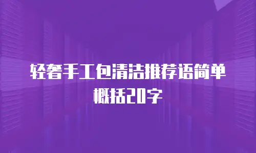 轻奢手工包清洁推荐语简单概括20字