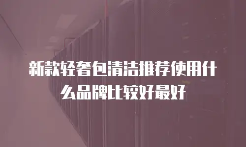 新款轻奢包清洁推荐使用什么品牌比较好最好