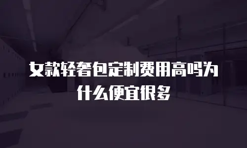 女款轻奢包定制费用高吗为什么便宜很多
