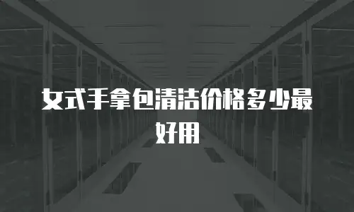 女式手拿包清洁价格多少最好用
