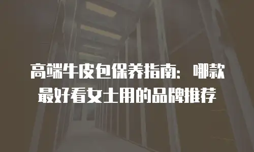 高端牛皮包保养指南：哪款最好看女士用的品牌推荐