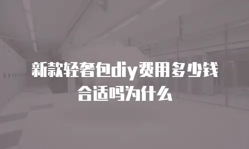 新款轻奢包diy费用多少钱合适吗为什么