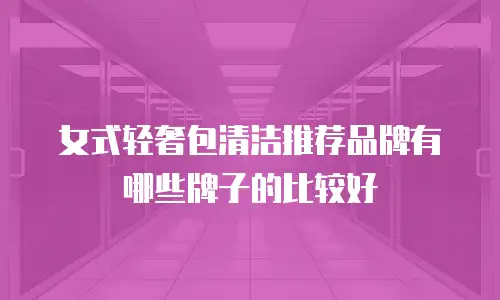 女式轻奢包清洁推荐品牌有哪些牌子的比较好