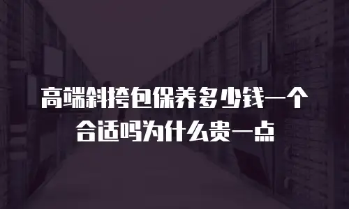 高端斜挎包保养多少钱一个合适吗为什么贵一点