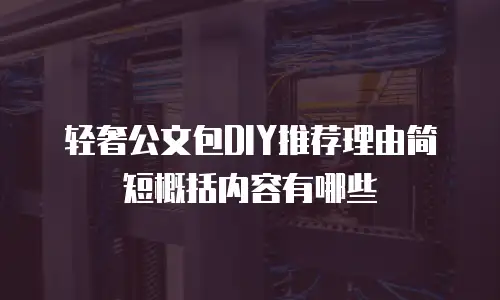 轻奢公文包DIY推荐理由简短概括内容有哪些