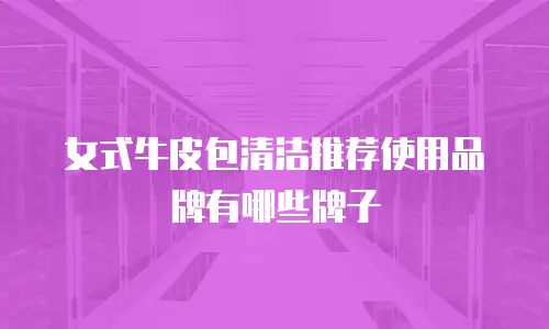 女式牛皮包清洁推荐使用品牌有哪些牌子