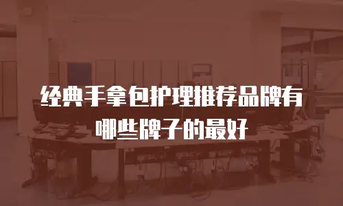 经典手拿包护理推荐品牌有哪些牌子的最好