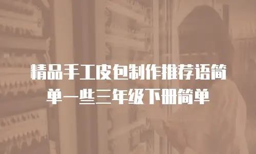 精品手工皮包制作推荐语简单一些三年级下册简单