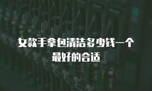 女款手拿包清洁多少钱一个最好的合适