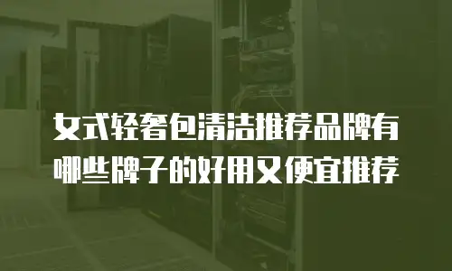 女式轻奢包清洁推荐品牌有哪些牌子的好用又便宜推荐