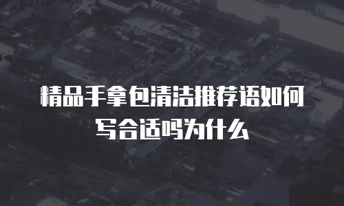 精品手拿包清洁推荐语如何写合适吗为什么