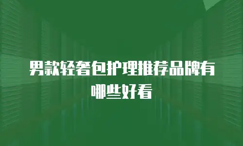 男款轻奢包护理推荐品牌有哪些好看