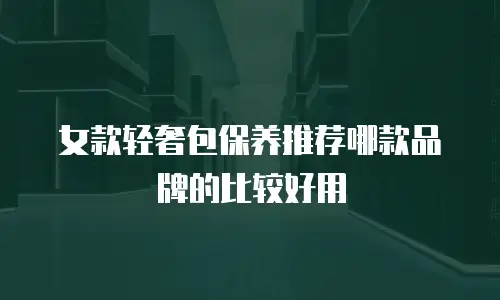 女款轻奢包保养推荐哪款品牌的比较好用
