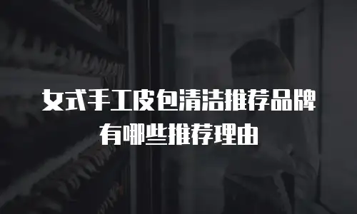女式手工皮包清洁推荐品牌有哪些推荐理由