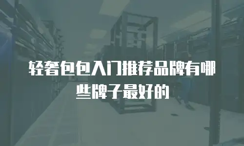 轻奢包包入门推荐品牌有哪些牌子最好的
