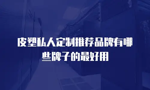 皮塑私人定制推荐品牌有哪些牌子的最好用