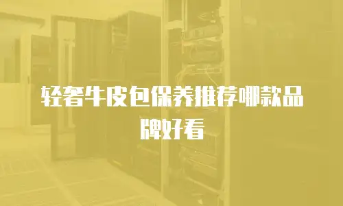 轻奢牛皮包保养推荐哪款品牌好看