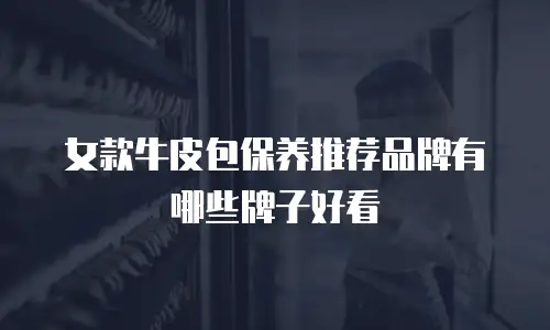 女款牛皮包保养推荐品牌有哪些牌子好看