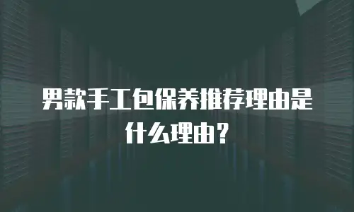 男款手工包保养推荐理由是什么理由？