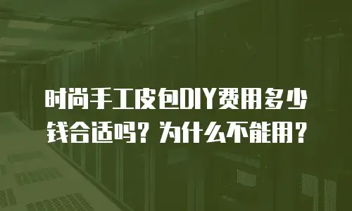 时尚手工皮包DIY费用多少钱合适吗？为什么不能用？