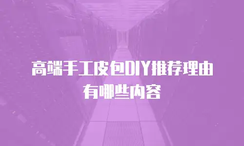 高端手工皮包DIY推荐理由有哪些内容