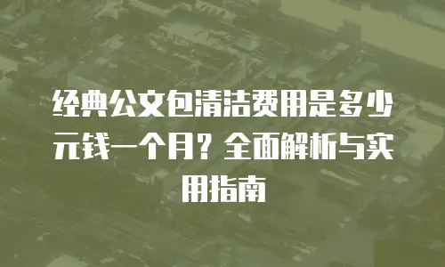 经典公文包清洁费用是多少元钱一个月？全面解析与实用指南