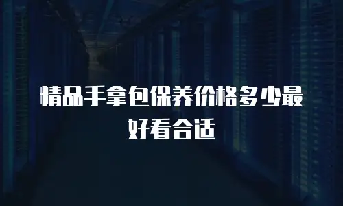 精品手拿包保养价格多少最好看合适