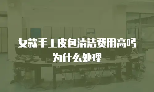 女款手工皮包清洁费用高吗为什么处理